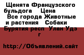Щенята Французского бульдога. › Цена ­ 45 000 - Все города Животные и растения » Собаки   . Бурятия респ.,Улан-Удэ г.